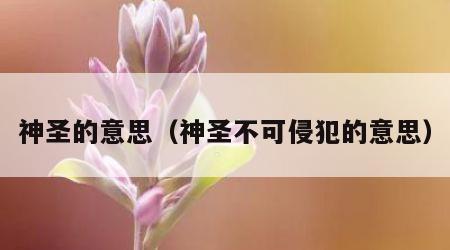 神圣的意思（神圣不可侵犯的意思）