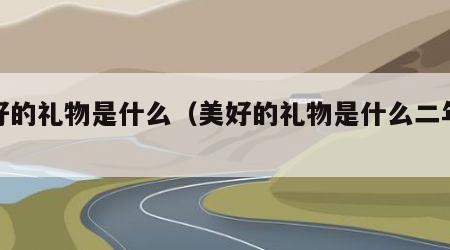 美好的礼物是什么（美好的礼物是什么二年级）