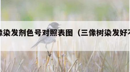 三像染发剂色号对照表图（三像树染发好不好）