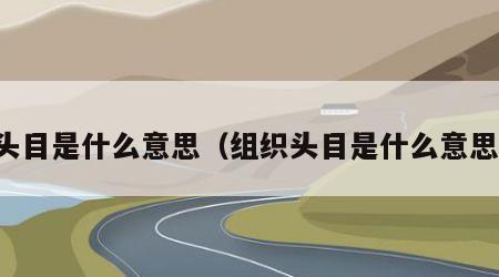 头目是什么意思（组织头目是什么意思）