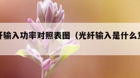 光纤输入功率对照表图（光纤输入是什么意思）