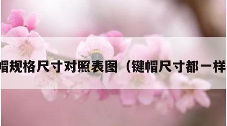 键帽规格尺寸对照表图（键帽尺寸都一样吗）
