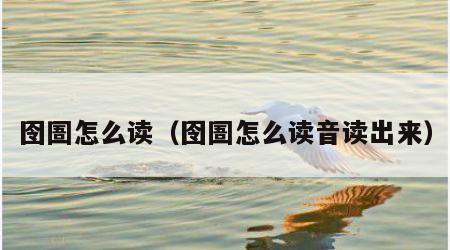囹圄怎么读（囹圄怎么读音读出来）