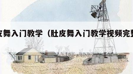 肚皮舞入门教学（肚皮舞入门教学视频完整版）
