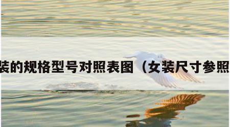 女装的规格型号对照表图（女装尺寸参照表）