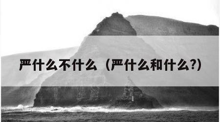 严什么不什么（严什么和什么?）