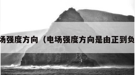 电场强度方向（电场强度方向是由正到负吗）