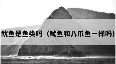 鱿鱼是鱼类吗（鱿鱼和八爪鱼一样吗）