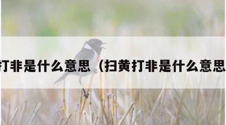 打非是什么意思（扫黄打非是什么意思）