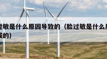 脸过敏是什么原因导致的（脸过敏是什么原因造成的）