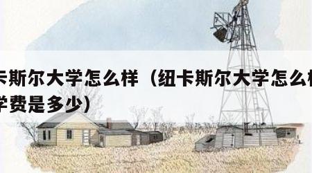纽卡斯尔大学怎么样（纽卡斯尔大学怎么样一年学费是多少）