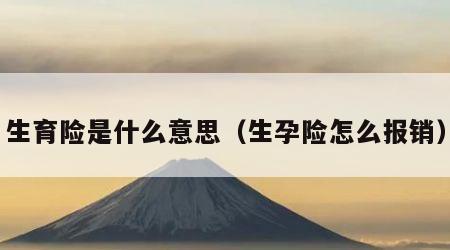 生育险是什么意思（生孕险怎么报销）