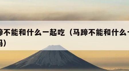 马蹄不能和什么一起吃（马蹄不能和什么一起吃吗）