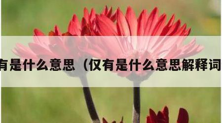 仅有是什么意思（仅有是什么意思解释词语）