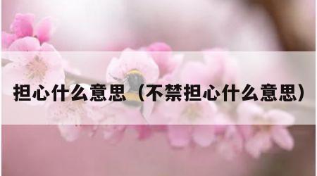 担心什么意思（不禁担心什么意思）