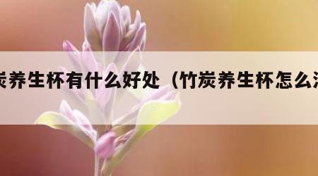 竹炭养生杯有什么好处（竹炭养生杯怎么清洗）