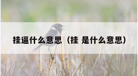 挂逼什么意思（挂 是什么意思）