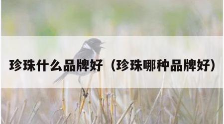 珍珠什么品牌好（珍珠哪种品牌好）