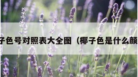 椰子色号对照表大全图（椰子色是什么颜色）