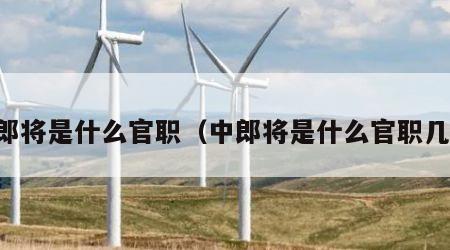 中郎将是什么官职（中郎将是什么官职几品）