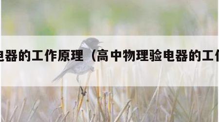 验电器的工作原理（高中物理验电器的工作原理）