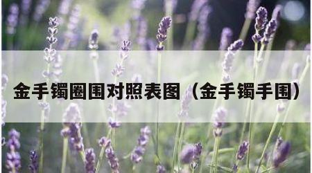 金手镯圈围对照表图（金手镯手围）