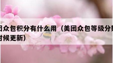 美团众包积分有什么用（美团众包等级分数什么时候更新）