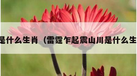 万是什么生肖（雷霆乍起震山川是什么生肖）
