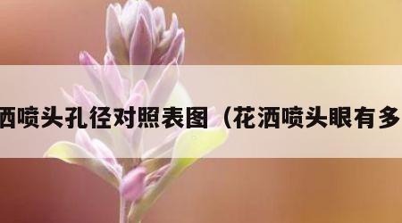 花洒喷头孔径对照表图（花洒喷头眼有多大）
