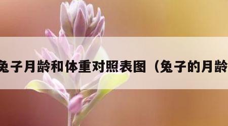 兔子月龄和体重对照表图（兔子的月龄）