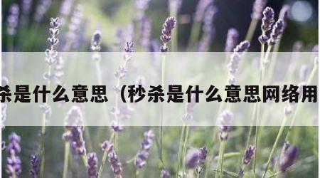 秒杀是什么意思（秒杀是什么意思网络用语）