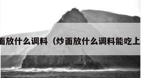 炒面放什么调料（炒面放什么调料能吃上瘾）