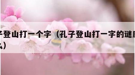 孔子登山打一个字（孔子登山打一字的谜底是什么）