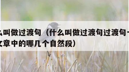 什么叫做过渡句（什么叫做过渡句过渡句一般在文章中的哪几个自然段）