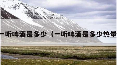 一听啤酒是多少（一听啤酒是多少热量）