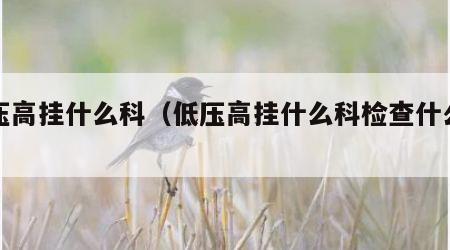 低压高挂什么科（低压高挂什么科检查什么项目）
