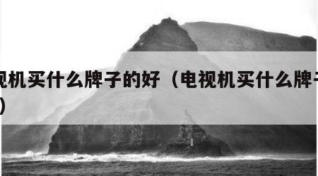 电视机买什么牌子的好（电视机买什么牌子的好?）