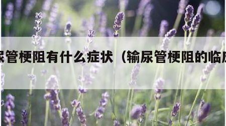 输尿管梗阻有什么症状（输尿管梗阻的临床表现）