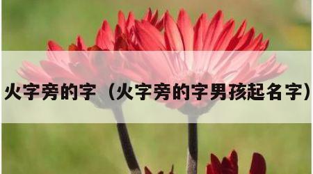 火字旁的字（火字旁的字男孩起名字）