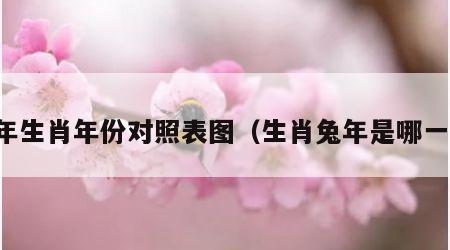 兔年生肖年份对照表图（生肖兔年是哪一年）