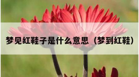 梦见红鞋子是什么意思（梦到红鞋）