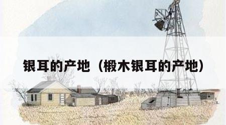 银耳的产地（椴木银耳的产地）