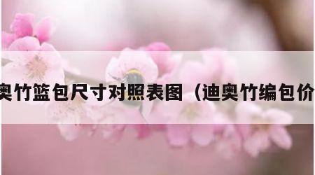 迪奥竹篮包尺寸对照表图（迪奥竹编包价格）