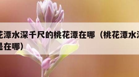 桃花潭水深千尺的桃花潭在哪（桃花潭水深千尺是在哪）
