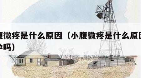 小腹微疼是什么原因（小腹微疼是什么原因是怀孕吗）