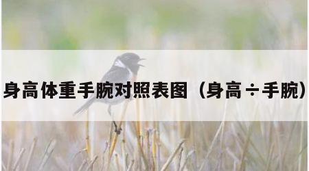 身高体重手腕对照表图（身高÷手腕）
