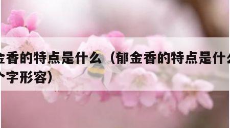 郁金香的特点是什么（郁金香的特点是什么用三个字形容）