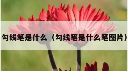 勾线笔是什么（勾线笔是什么笔图片）