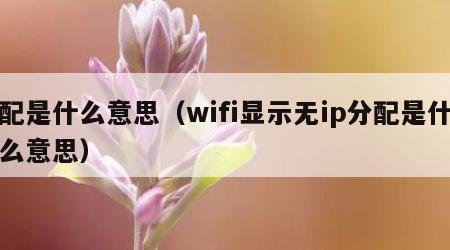 配是什么意思（wifi显示无ip分配是什么意思）