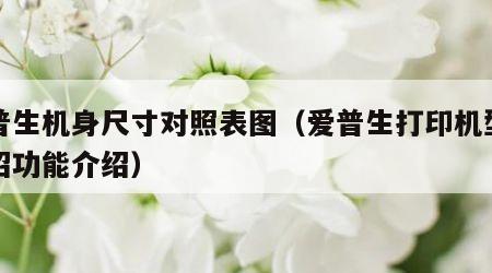 爱普生机身尺寸对照表图（爱普生打印机型号介绍功能介绍）